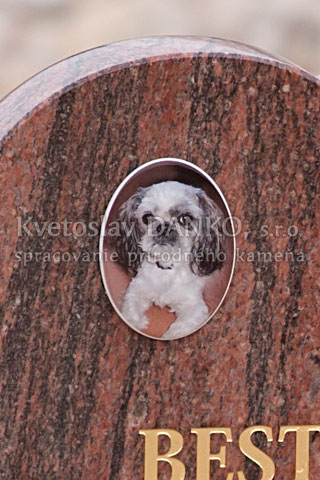 Keramická fotka na pomník pre psíka