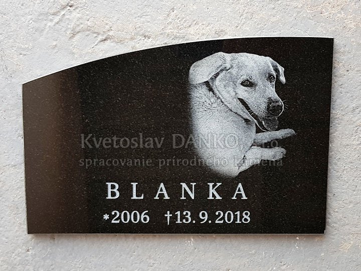Pomník pre psa